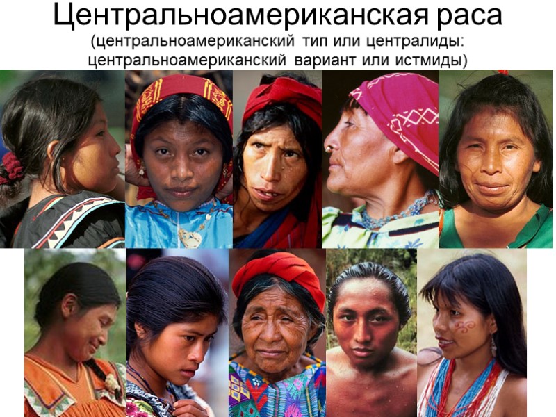 Центральноамериканская раса (центральноамериканский тип или централиды: центральноамериканский вариант или истмиды)